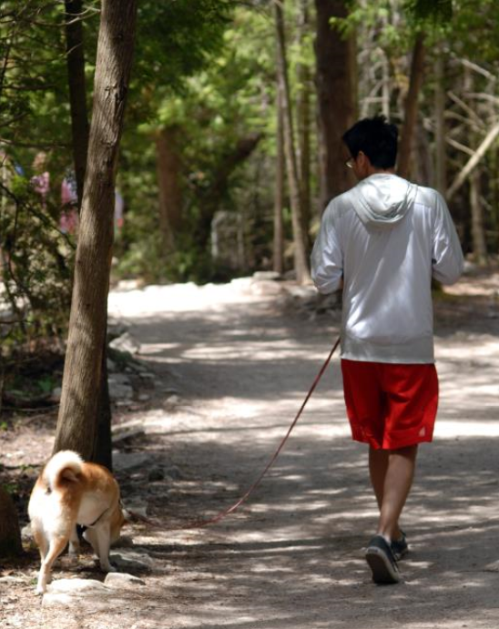 Me and my puppy on a good hike 